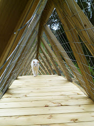 Photo n°20 de Pension féline Le Chat Perché à Saint-Amarin (Service de garde d'animaux)