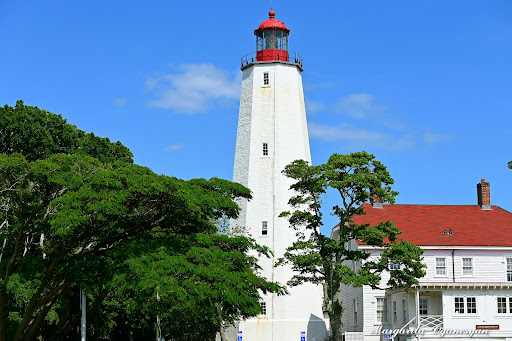 Fort Hancock - Visual