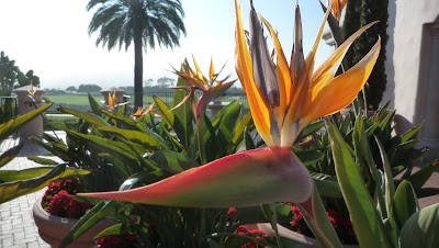 Photos of Pelican Hill