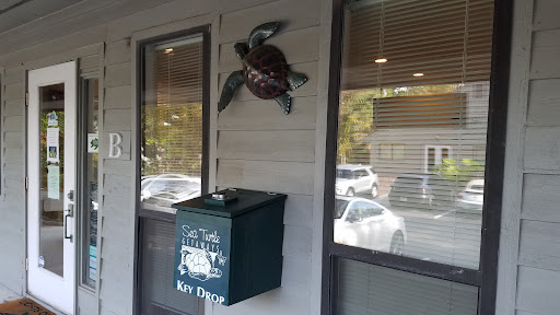 Sea Turtle Getaways - Thumbnail