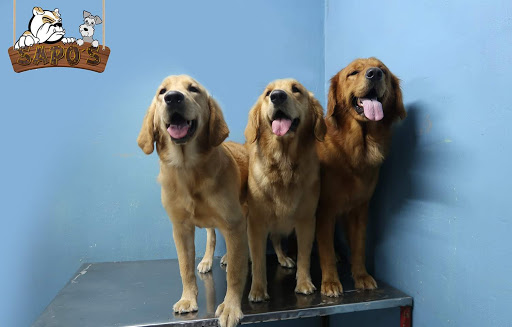 Clínica y Estética Veterinaria Sapos (MasterPets)