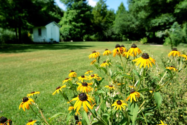 Maison Madeleine B&B at Lake Martin
