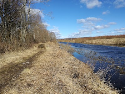 Photos of Ilmatsalu linnuvaatlustorn