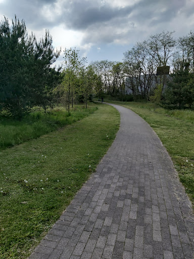 Grünanlage Schlingbreede Park
