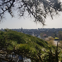 Photo n°14 de Art Br Elag à Noyal-Pontivy (Service d'élagage)