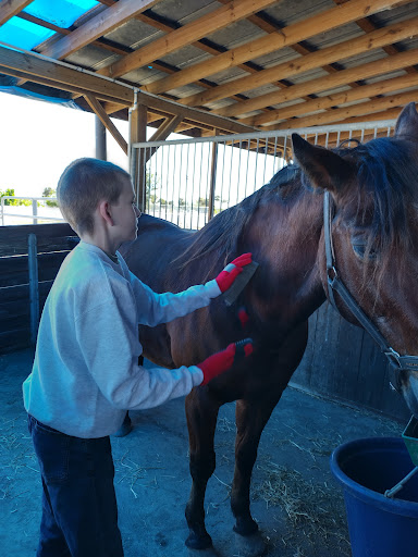 Saddlewood Horse Club - Thumbnail