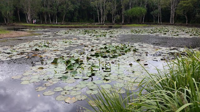 Cairns Botanic Gardens