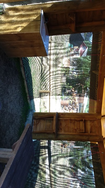 Photos of Icalma Lodge