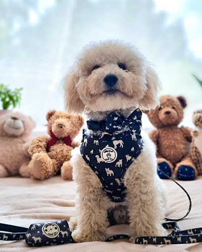 Little Pups and Co - Thumbnail