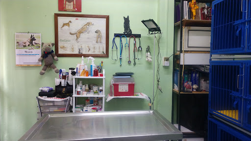 Veterinaria Atlanta