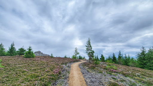 Tarland Trails - Pittenderich Gallery - United Kingdom