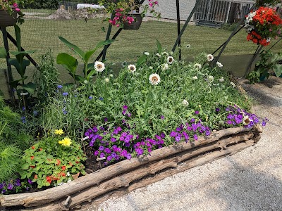 Monarch Butterfly Box & Caterpillar Cafe