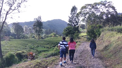 Photos of SDN Gunung MAS
