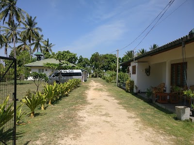 Photos of Nila Vila