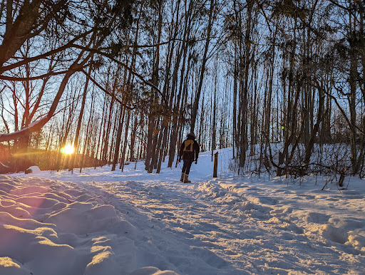 Glen Major Forest - Thumbnail