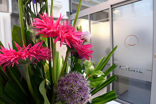 Photo n°1 de Dr BONTURI à Paris (Dentiste)