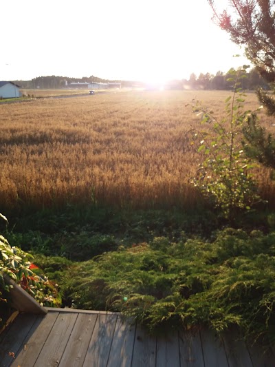 Photos of J&auml;&auml;sk&auml;n Loma Oy