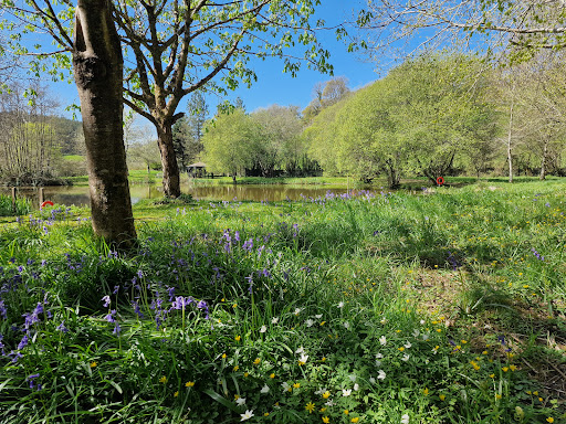Park Mill Cottages - Thumbnail