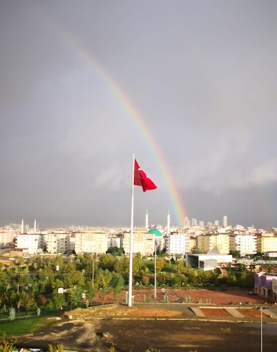 Basketbol Sahası