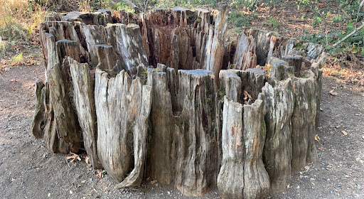 Madison Falls Trailhead - Thumbnail
