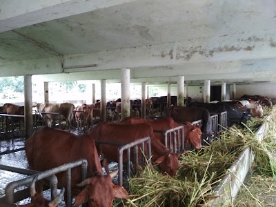 Photos of Dairy Khamar