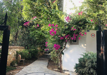 Bodrum Ege Kültür Özel Eğitim Ve Rehabilitasyon Merkezi