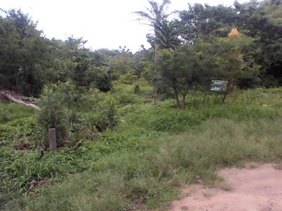 Photos of Westville Mall