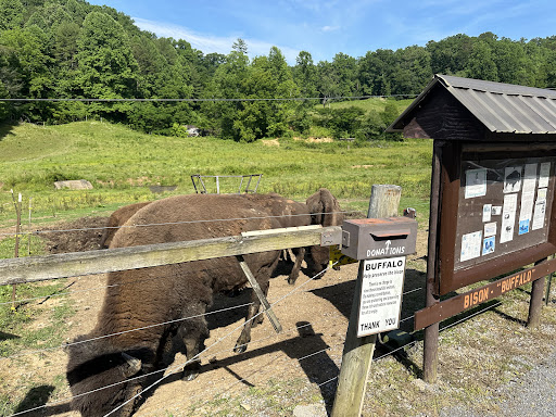 The Brown Farm - Thumbnail
