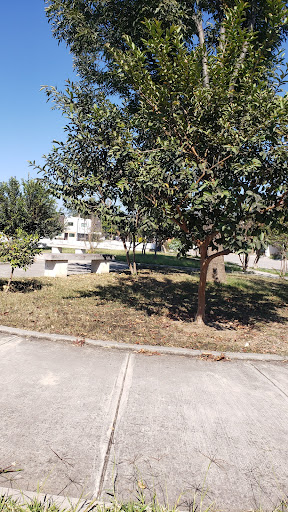 Recreativo "San Felipe 1" Park - Thumbnail