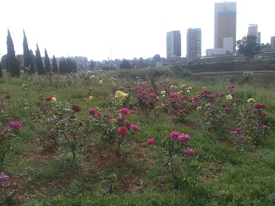 Photos of Parc Dounia