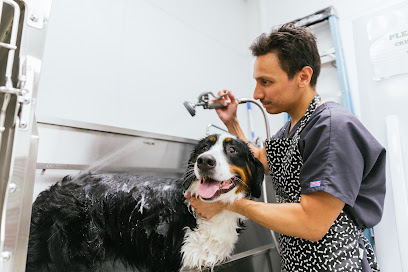 PetVet Animal Hospital
