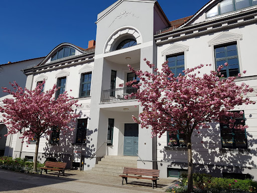 Müritz Immobilien GmbH