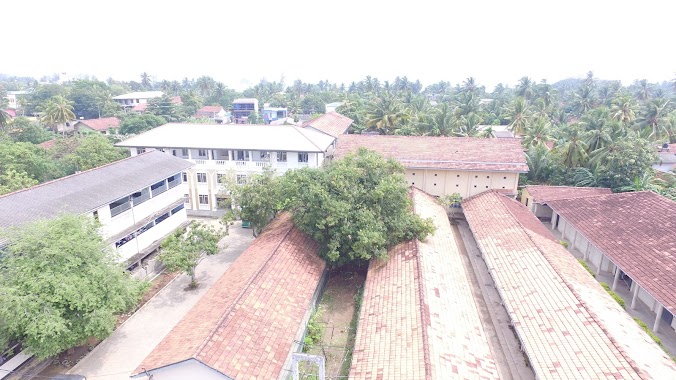 Sri Sumangala Balika Vidyalaya, Author: Sumangala Balika Vidyalaya Weligama