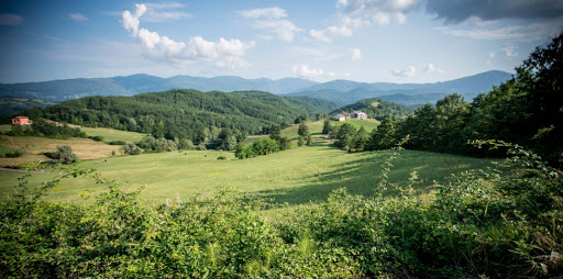 Organic farm - farm "The sky Strela" Mario Marini - Thumbnail