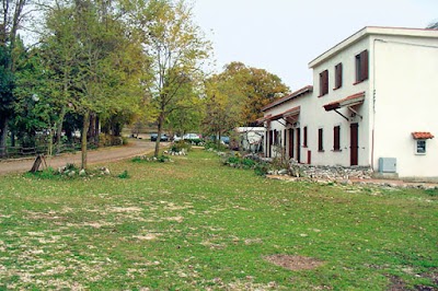 Photos of Agriturismo Falcare