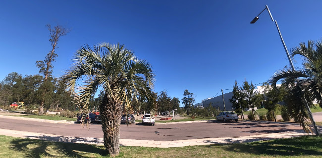 Parque El Jagüel