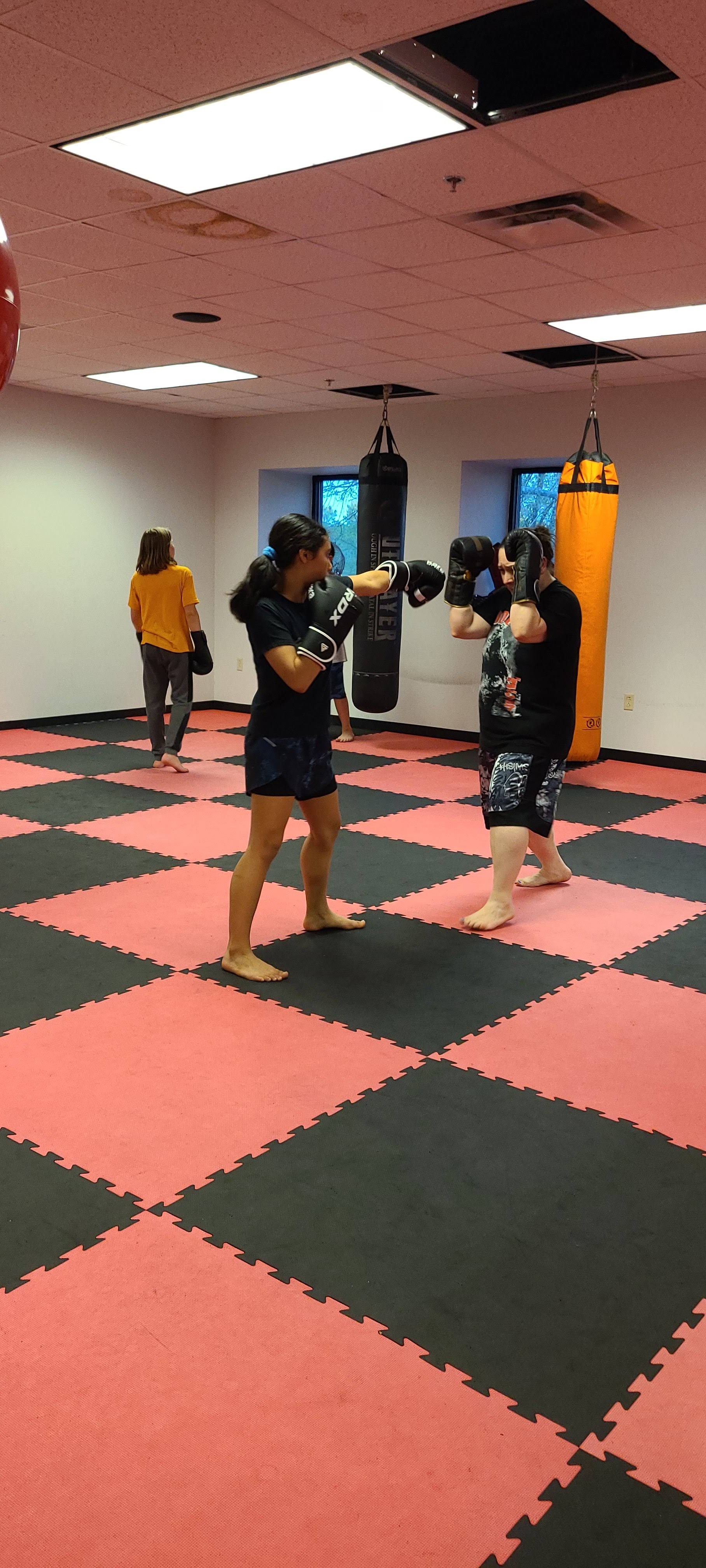 Iron Lion Muay Thai & Boxing photo 2