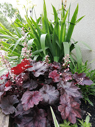 Photo n°16 de Camping Indre et Loire La Fritillaire à Savigny-en-Véron (Terrain pour camping-cars)