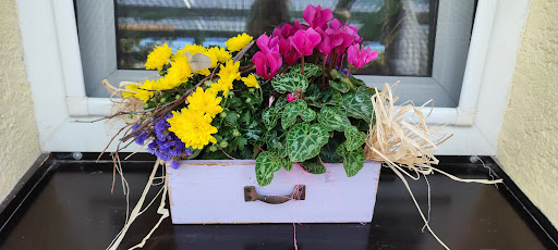 Wolf Blumen - Visual