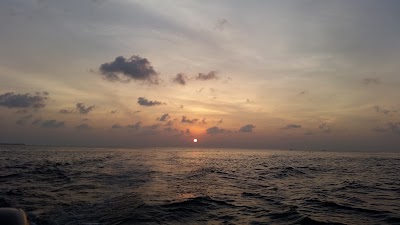 Photos of Sai Kotari