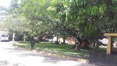 university