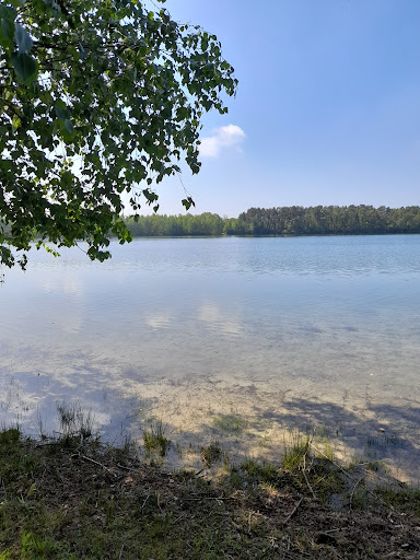 De Valkhoeve Mill - Thumbnail