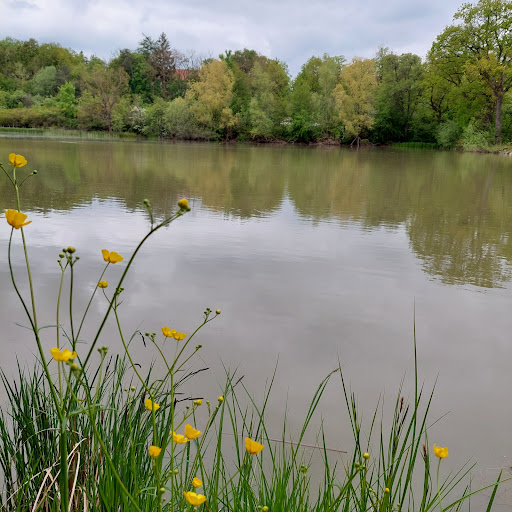 Ziegelweiher