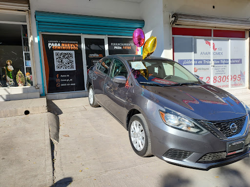 AUTOS GL - Visual