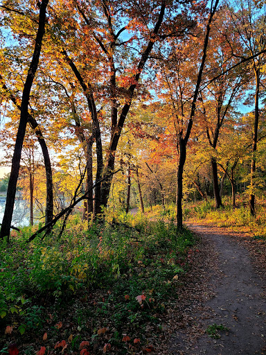 Carroll's Woods