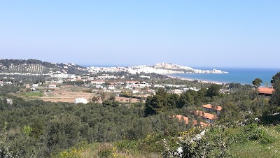 Photos of Farm De Simio