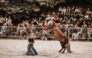 Photo n°4 de La Guinguette Équestre à Saint-Aubin-du-Cormier (Festival)