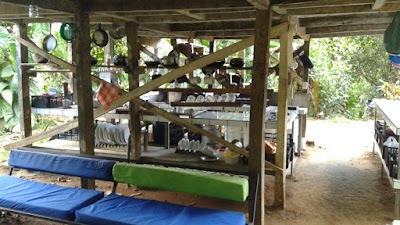 Photos of Bolita Rainforest Hostel