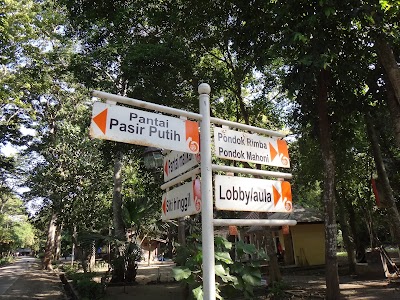 Photos of Pantai Tanjung Papuma