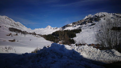 JFK Immobilier SAS - JFK Montagne SAS